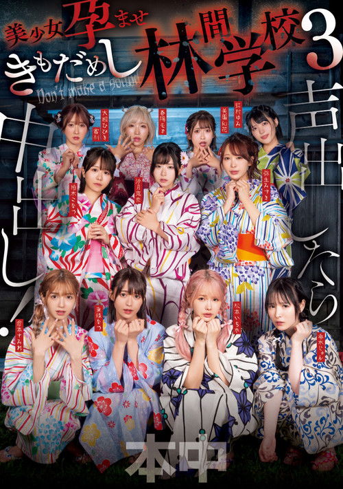声出したら中出し！美少女孕ませきもだめし林間学校3 (2025) poster