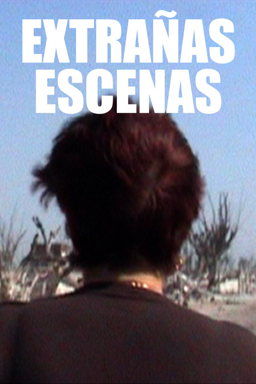 Extrañas escenas (2011) poster