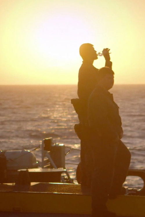 Forces tranquilles (2015) poster