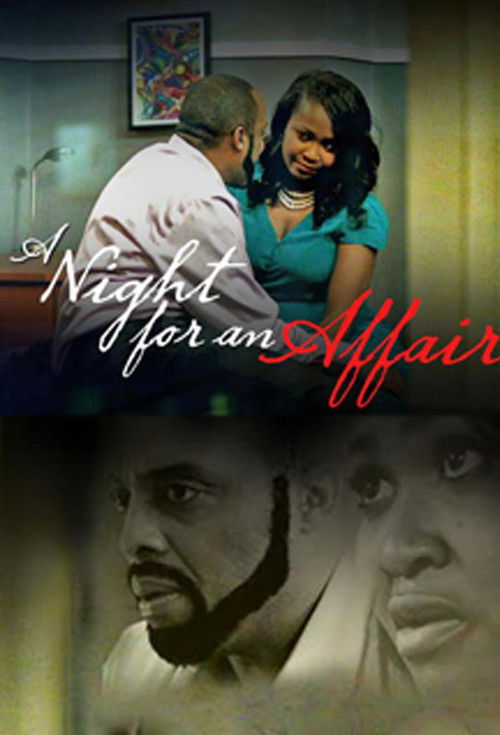 A Night For An Affair (2015) poster