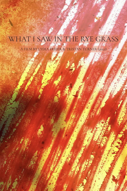 What I Saw in the Rye Grass (2022) poster