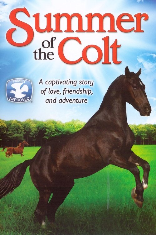 Summer of the Colt (1991) poster