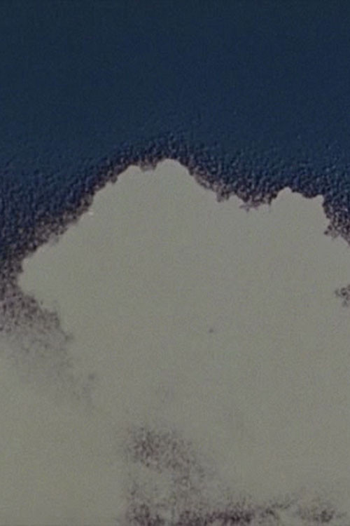 Blue Movie (1970) poster