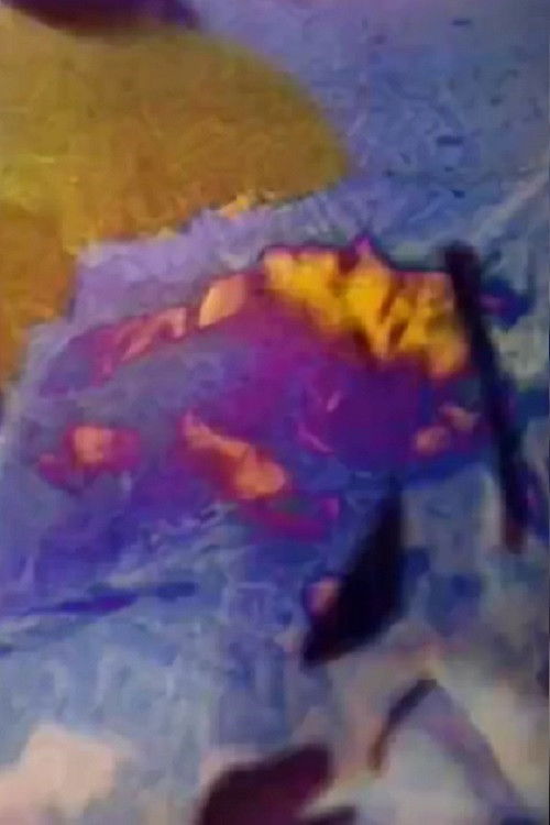 Pulsions (2007) poster