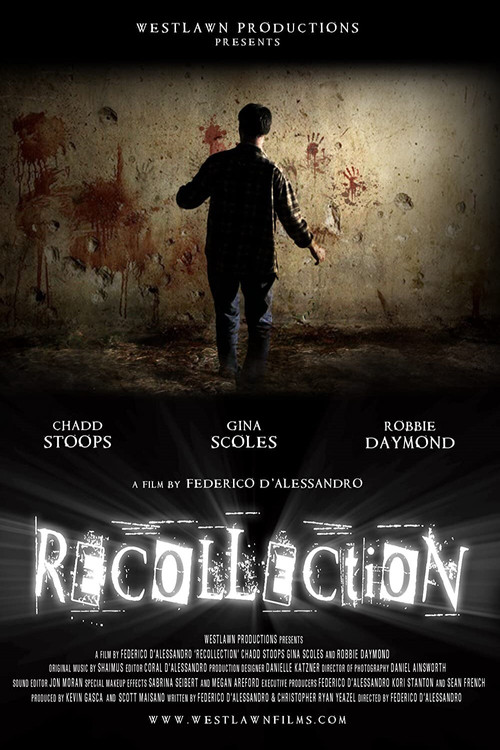 Recollection (2010) poster