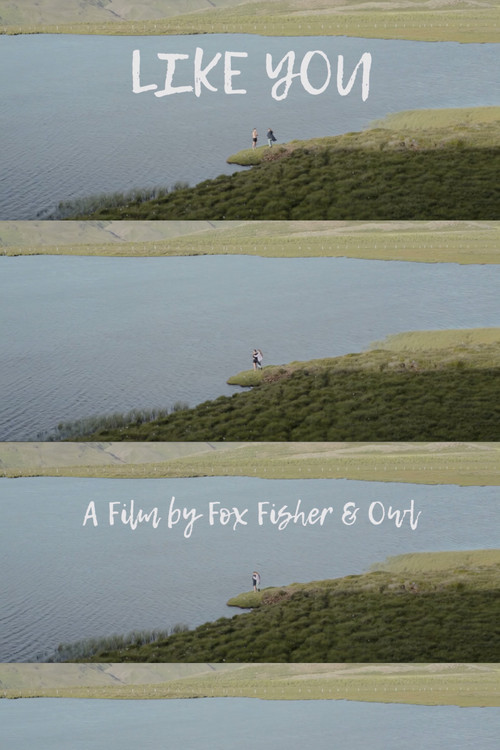 Like You (2017) poster