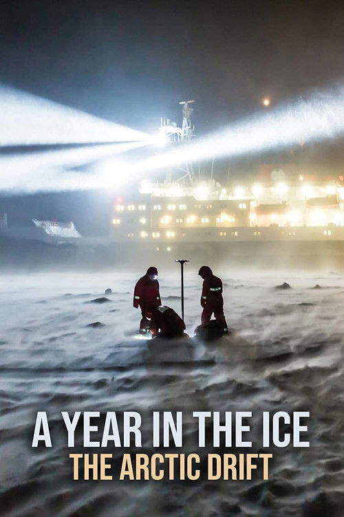 A Year in the Ice: The Arctic Drift (2021) poster