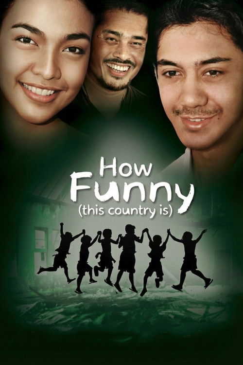 How Funny (This Country Is) (2010) poster
