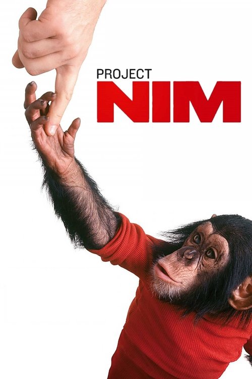 Proje Nim (2011) poster