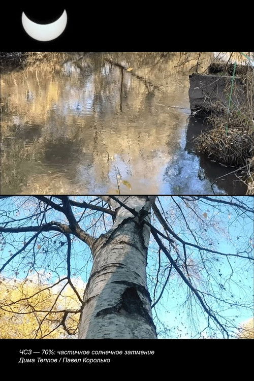 ЧСЗ – 70%: частичное солнечное затмение (2022) poster