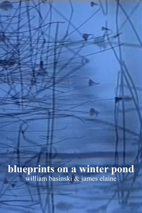 blueprints on a winter pond (2006) poster