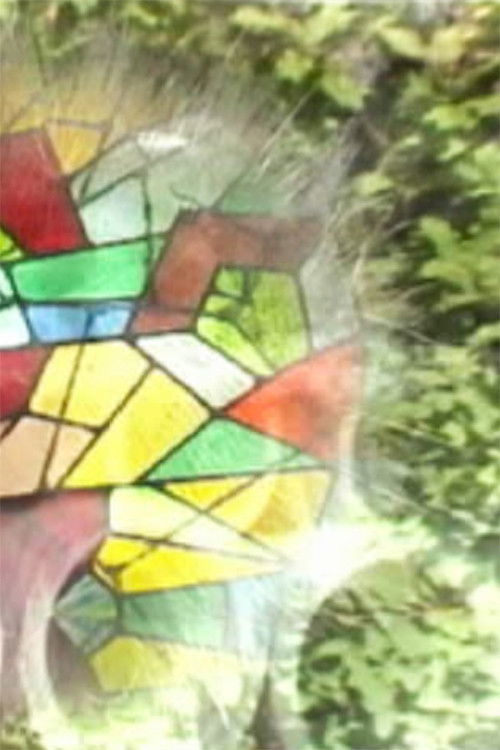 Foci Coincide (2004) poster