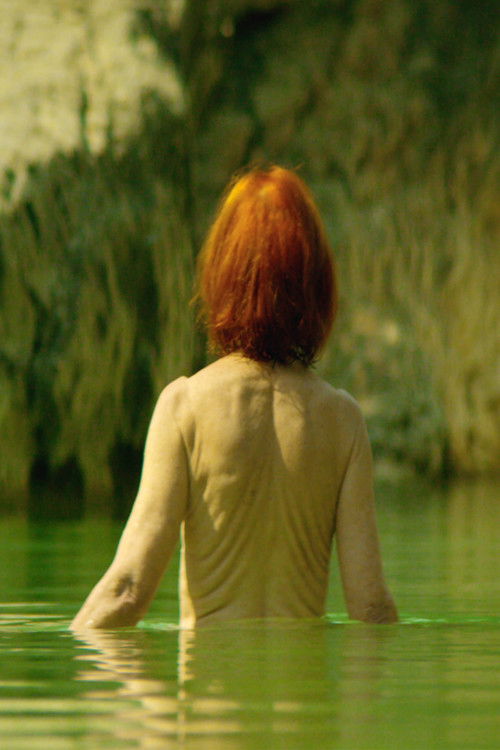 Tempus Fugit (2019) poster