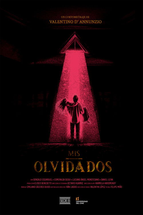 Mis Olvidados (2025) poster