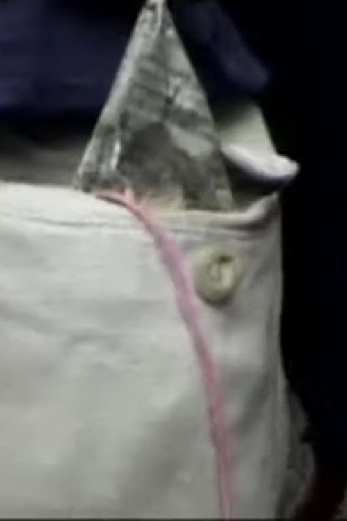 'plano (2006) poster