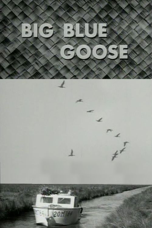 Big Blue Goose (1956) poster