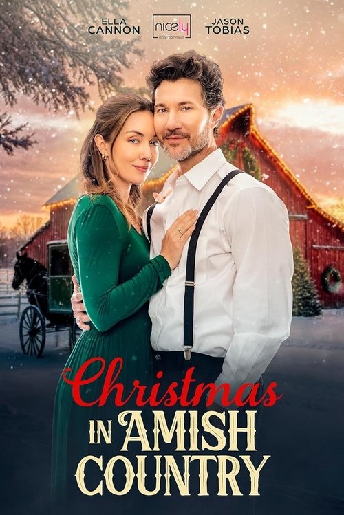 Christmas in Amish Country (2025) poster