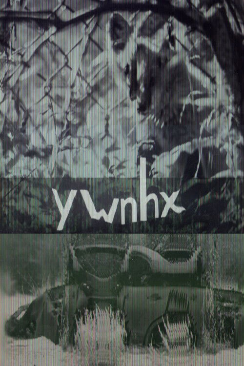 ywnhx (2023) poster