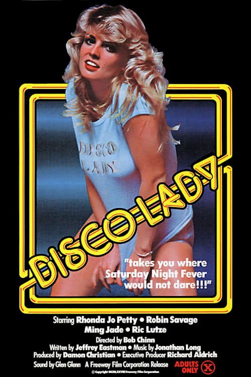 Disco Lady (1978) poster