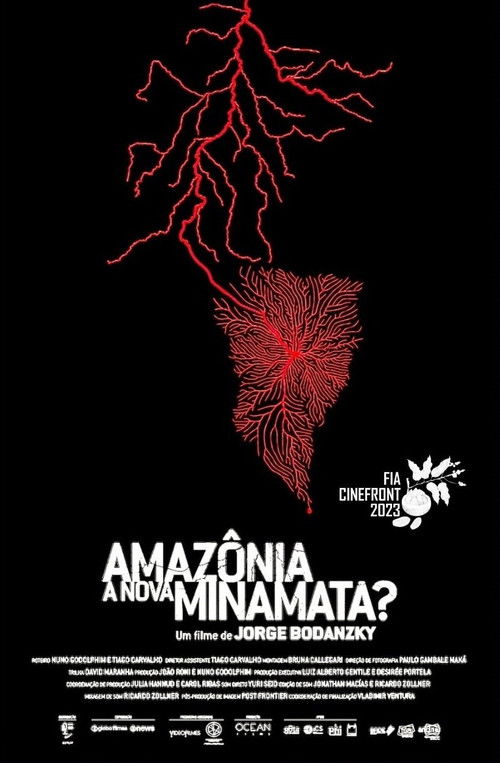 Amazônia, a Nova Minamata? (2022) poster