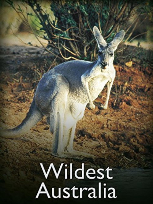 Wildest Australia (1996) poster