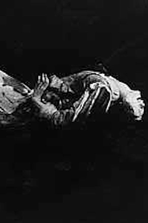 Knucklebones: Self-Sustaining Members of the Human Species (1992) poster