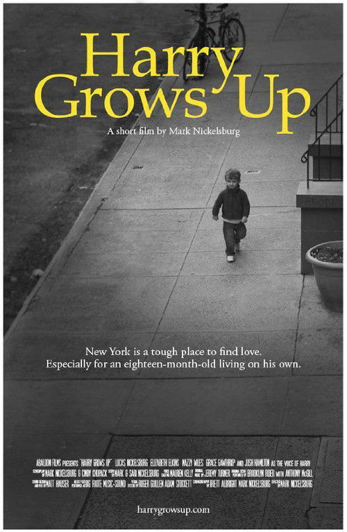 Harry Grows Up (2012) poster