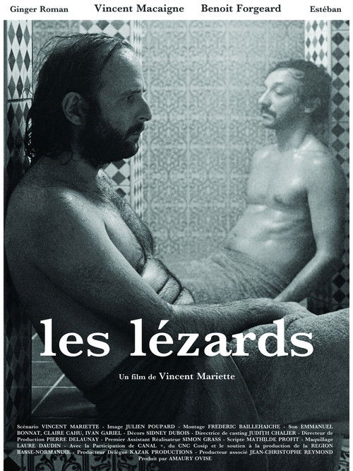 The Lizards (2013) poster