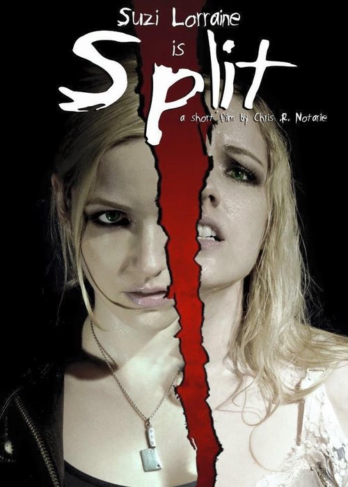 Split (2012) poster