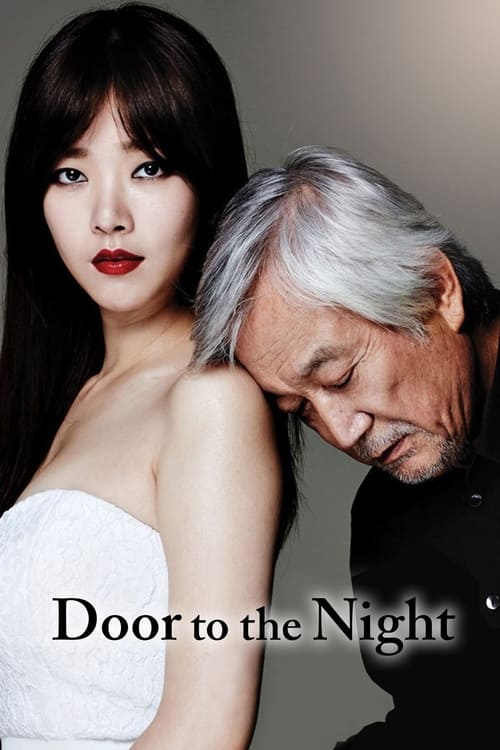Door to the Night (2013) poster