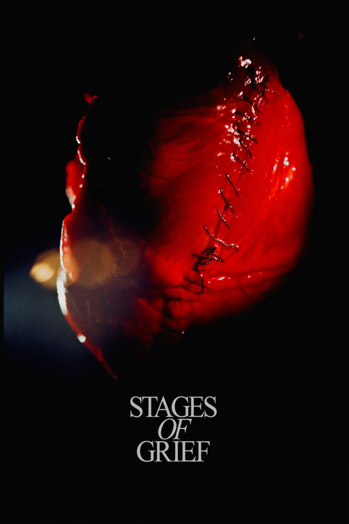Stadier af sorg (2025) poster