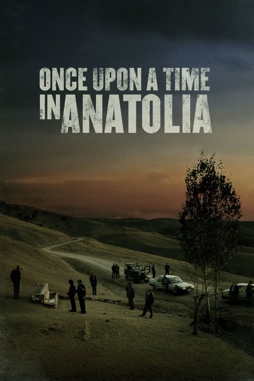 Bir Zamanlar Anadolu'da (2011) poster