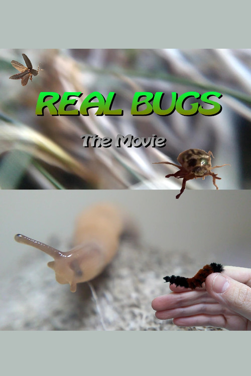 Real Bugs: The Movie (2019) poster
