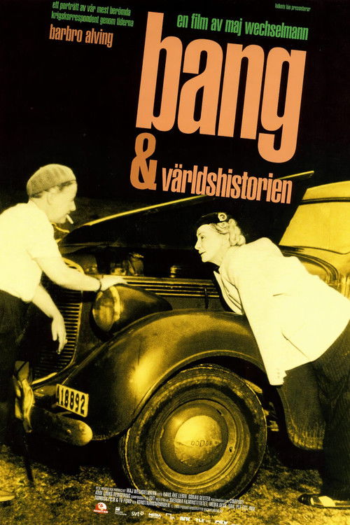 Bang och världshistorien (2008) poster