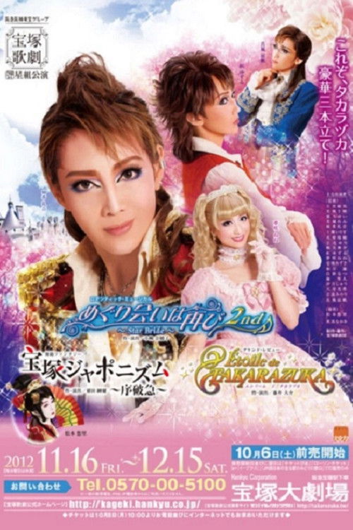 A Second Fortuitous Meeting 2nd ~Star Bride~ (2012) poster
