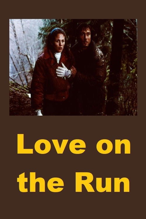Love on the Run (1994) poster