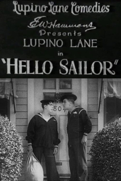 Hello Sailor (1927) poster