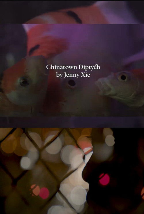 Chinatown Diptych (2024) poster