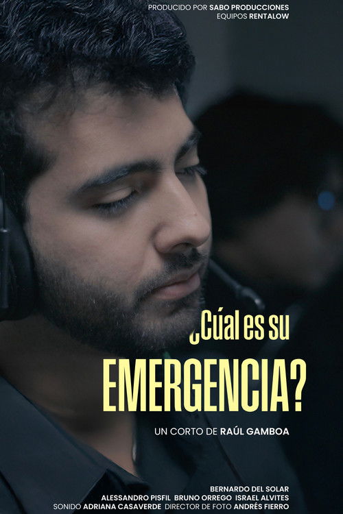 ¿Cuál es su emergencia? (2025) poster