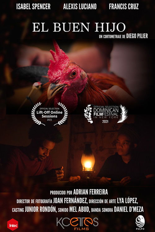 The Good Son (2021) poster