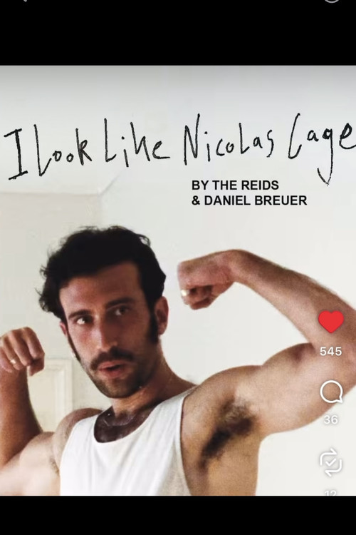 I Look Like Nicolas Cage (2025) poster