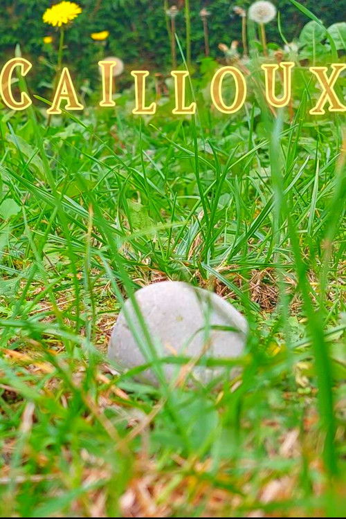 Stones (2022) poster