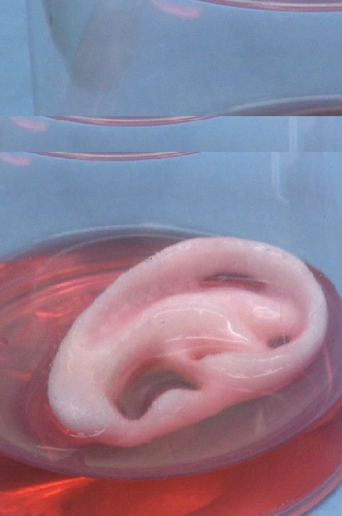 time/ OUT OF JOINT (2015) poster