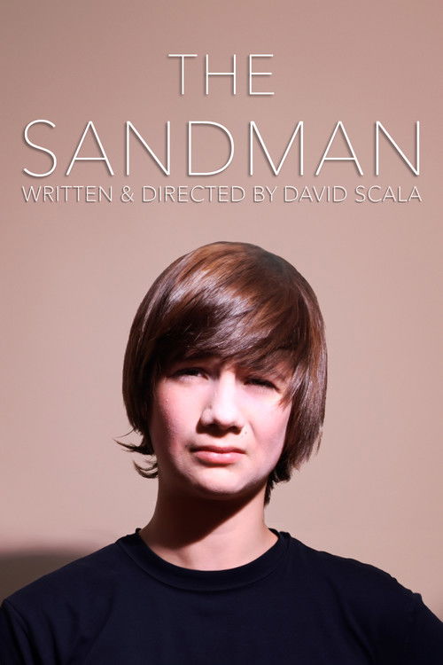 The Sandman (2010) poster