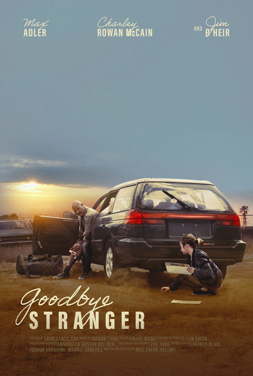 Goodbye Stranger (2025) poster
