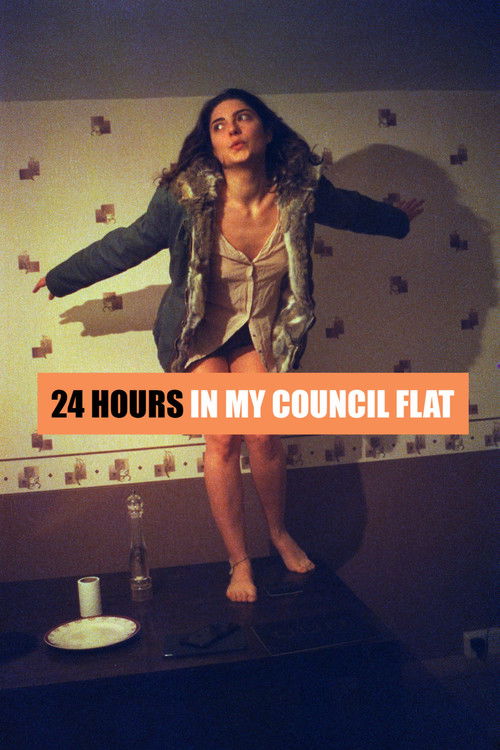 24 Hours in My Council Flat (2017) poster