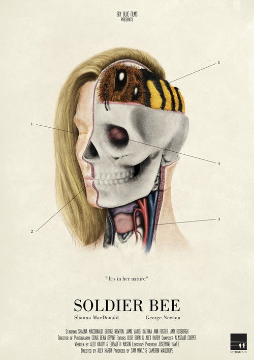 Soldier Bee (2017) poster