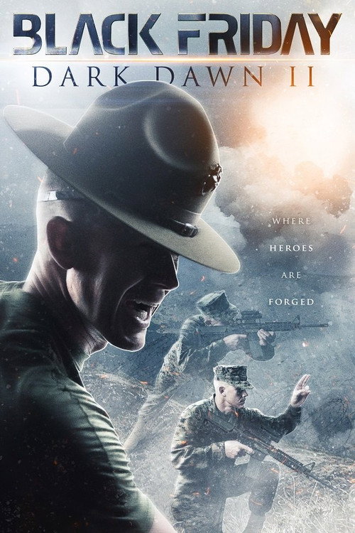 Black Friday: Dark Dawn II (2014) poster