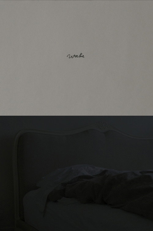 Wake (2026) poster
