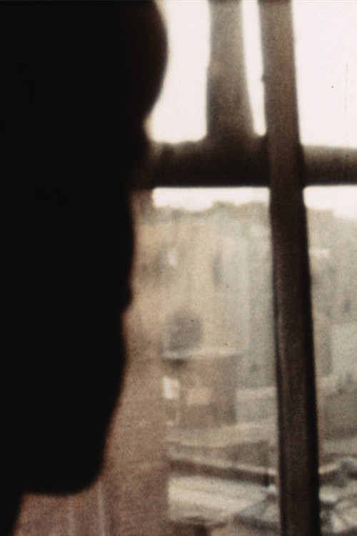 Winter '64-'66 (1967) poster